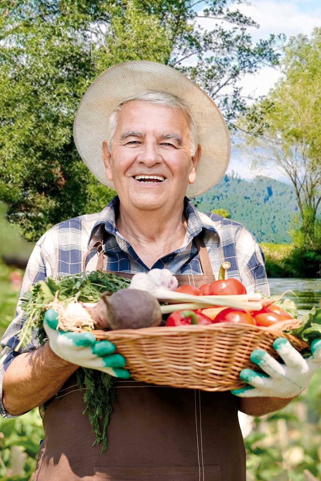 hombre-recogiendo-verduras